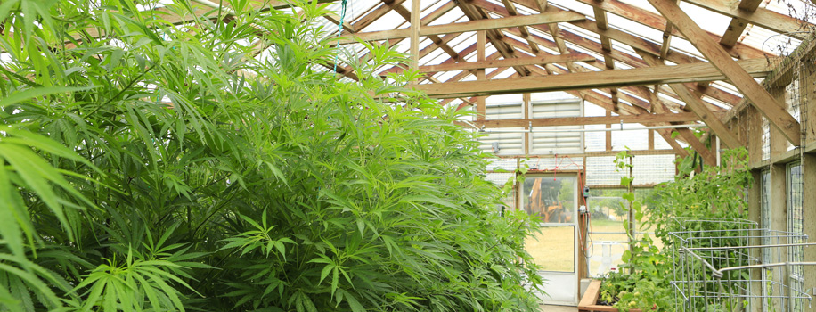 Security Solutions for Apartments in Kingsland, TX